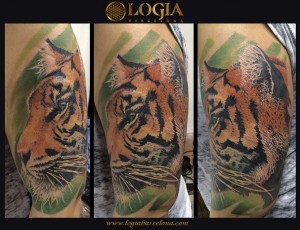 tatuaje-tigre-hombro-Logia-Barcelona-marci-blazsek    